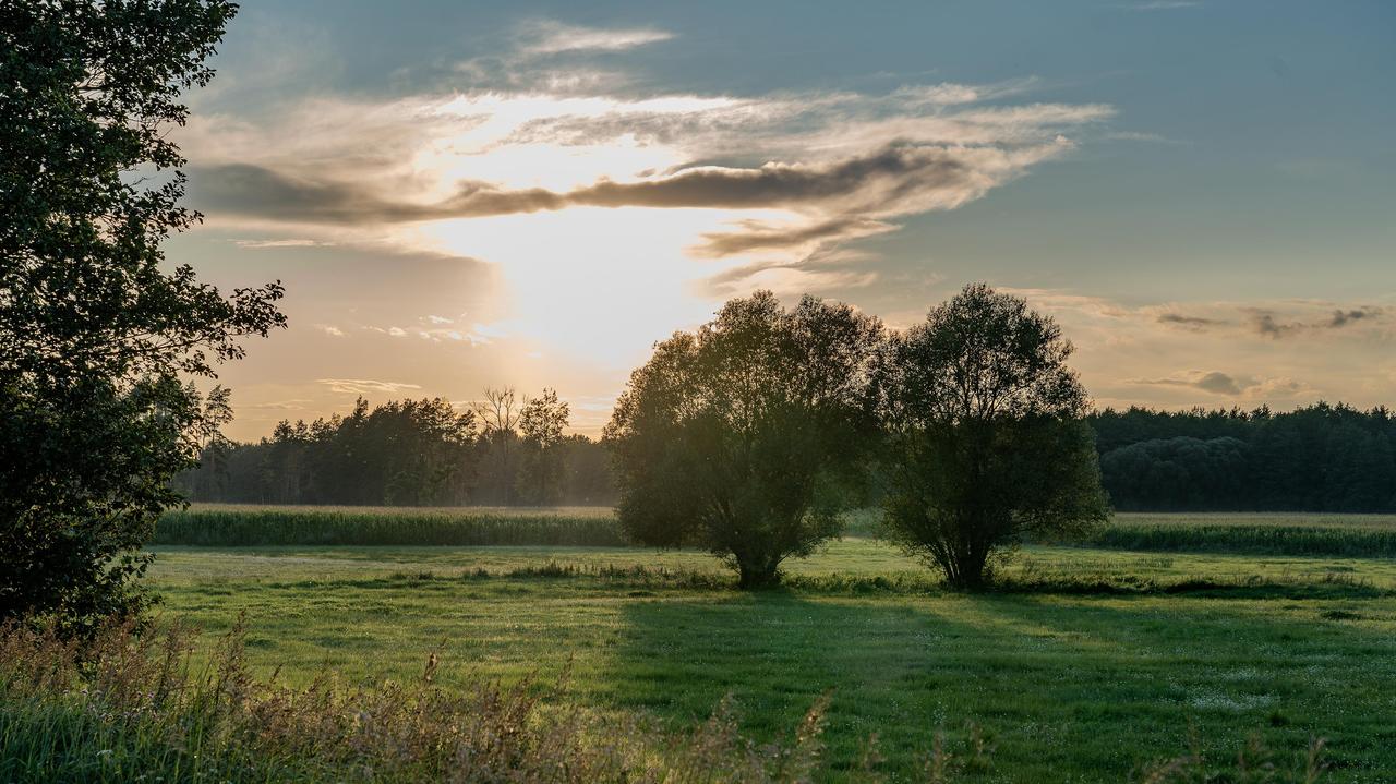 Ponad 19 stopni Celsjusza. Pierwszy tak ciepły poranek