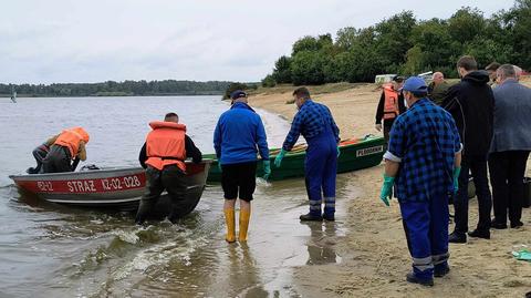 Ponad tona śniętych ryb wyłowiona w okolicach Kanału Gliwickiego. Materiał z 13 czerwca