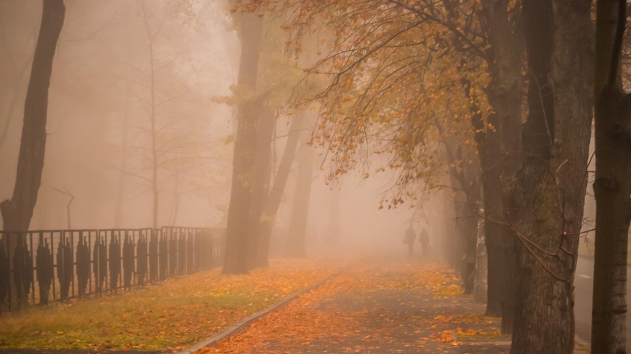 Ostrzeżenia IMGW. Mgły o poranku. Tu należy zachować szczególną ostrożność