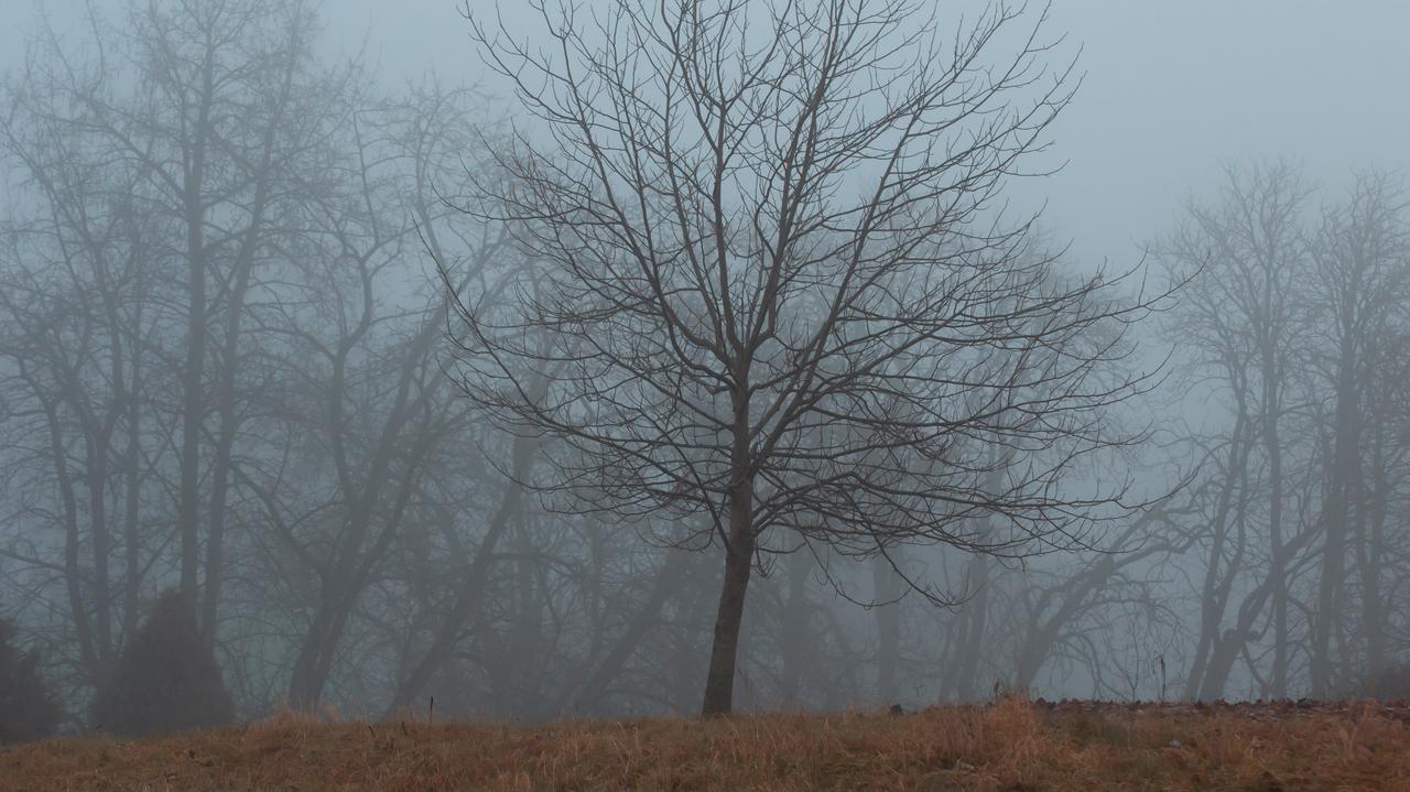 Frieda pozostaje u sterów. Co to dla nas oznacza