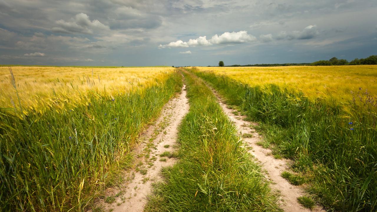 Pogoda na dziś - sobota, 6.09. Polska podzieli się na chłodną i gorącą