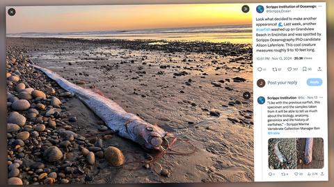 Kalifornia, USA. Wybrzeże Pacyfiku w Redondo Beach (nagrania archiwalne)