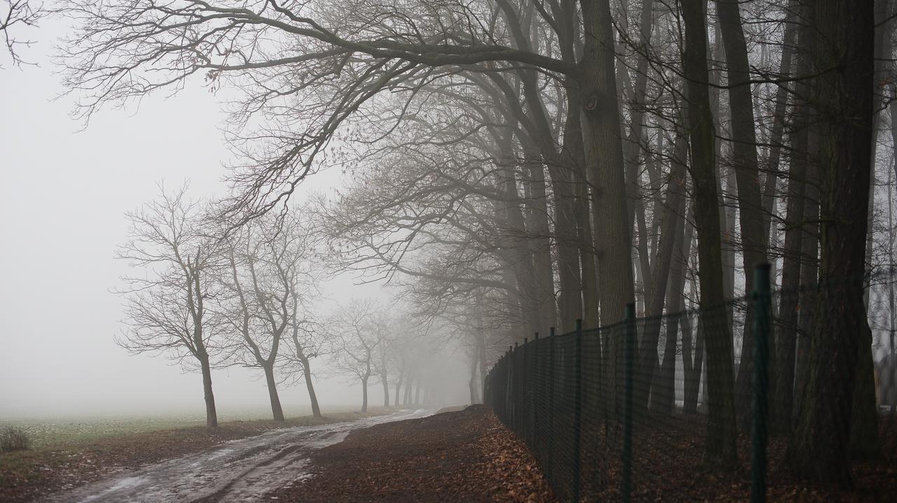Pogoda na dziś - niedziela, 30.11. Taki będzie ostatni dzień listopada