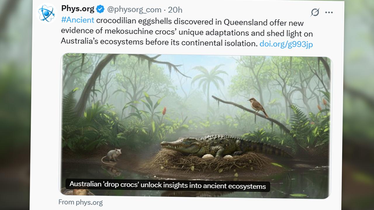 Wspinały się po drzewach i polowały jak lamparty