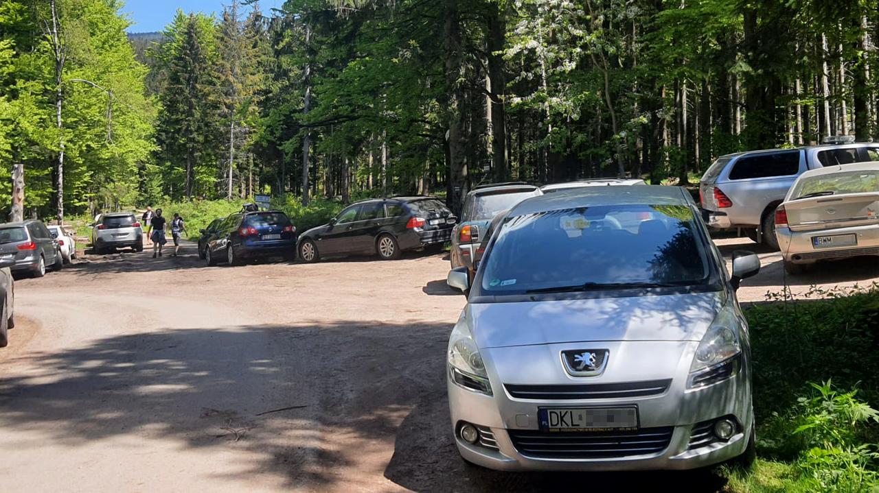 Jodov.  Colapsó y murió en el bosque.  Los rescatistas no pudieron llegar al lugar.