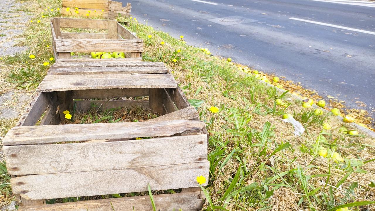 Zignorował znak, uderzył w wiadukt. "Z ciężarówki wypadły skrzynie z jabłkami"