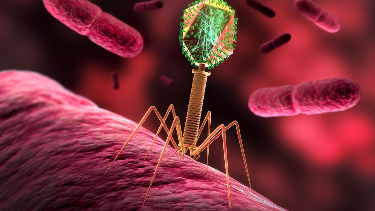 Wirusy, które leczą zamiast zakażać. Czy to nowa nadzieja medycyny?