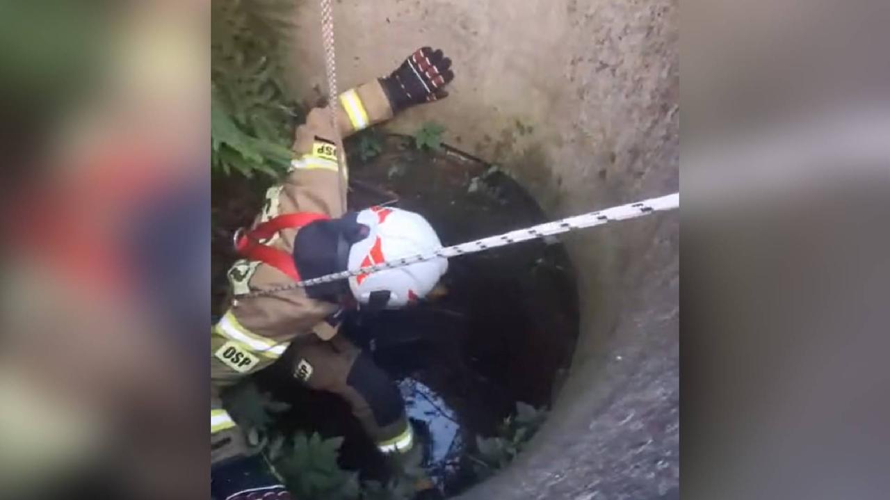 Strażacy uratowali psa, który wpadł do studni