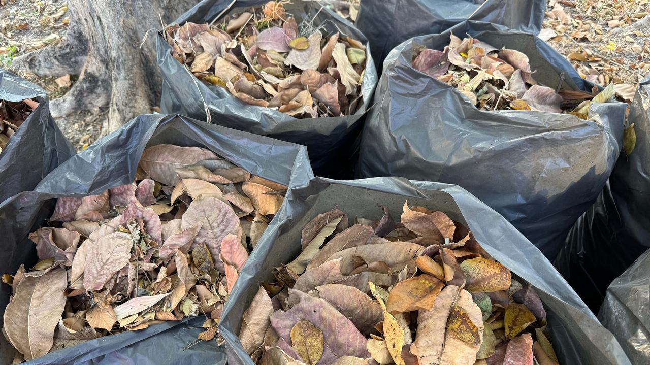 Zawieszają odbiór bioodpadów