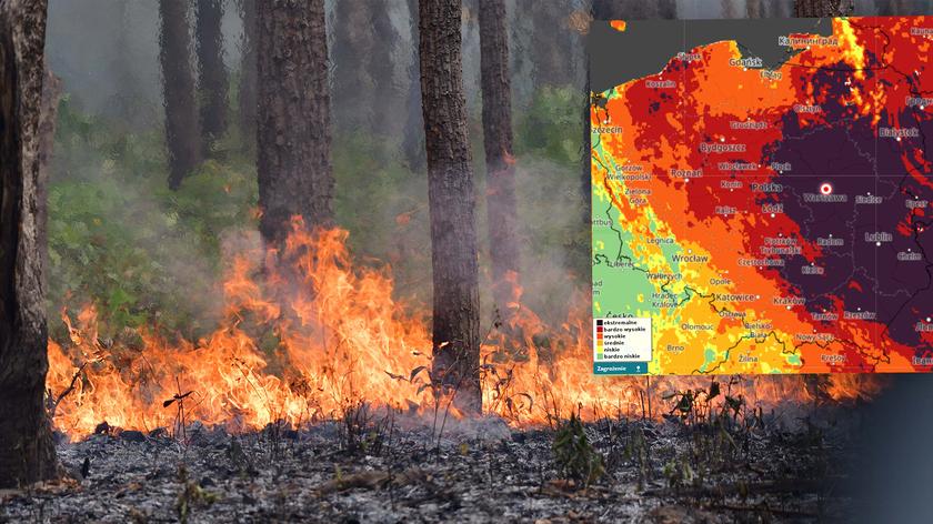 Wysokie zagrożenie pożarowe w lasach - materiał archiwalny