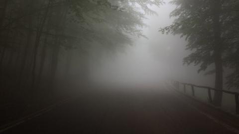 Prognoza temperatury na kolejne dni