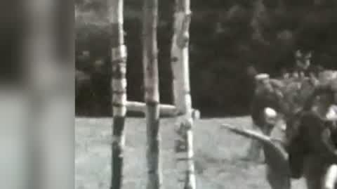 filip kronika 2