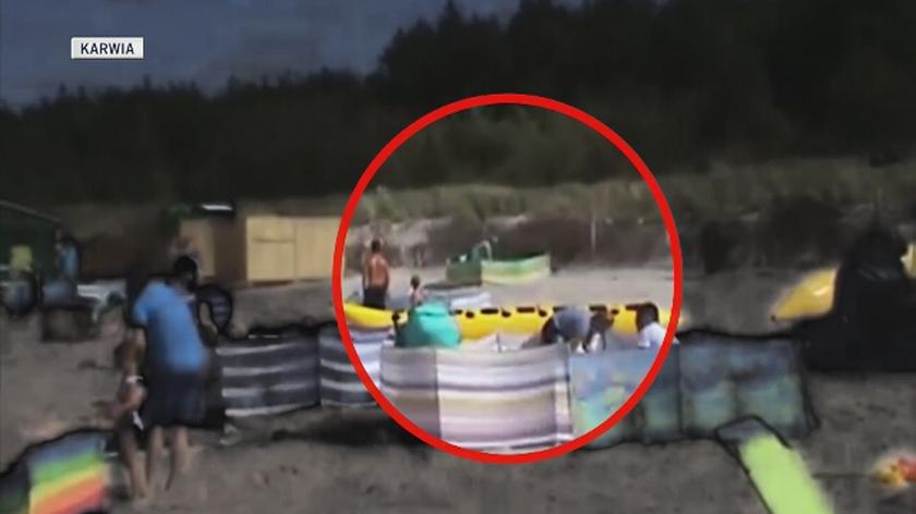 Dzik na plaży. "Nagle wypłynął, kilka osób staranował"