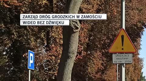 Zarząd Dróg 