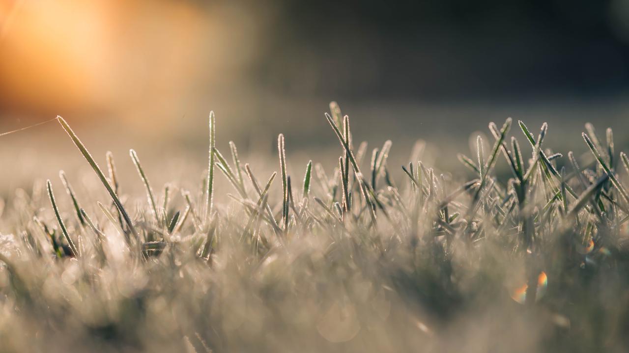 Monarch.  IMWM warnt.  Warnungen in 12 Woiwodschaften.  In Bodennähe -2 Grad