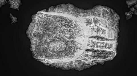 Znaleziono średniowieczny szkielet z... metalową protezą dłoni