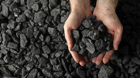 Radomir Witt o wypowiedziach polityków na temat węgla