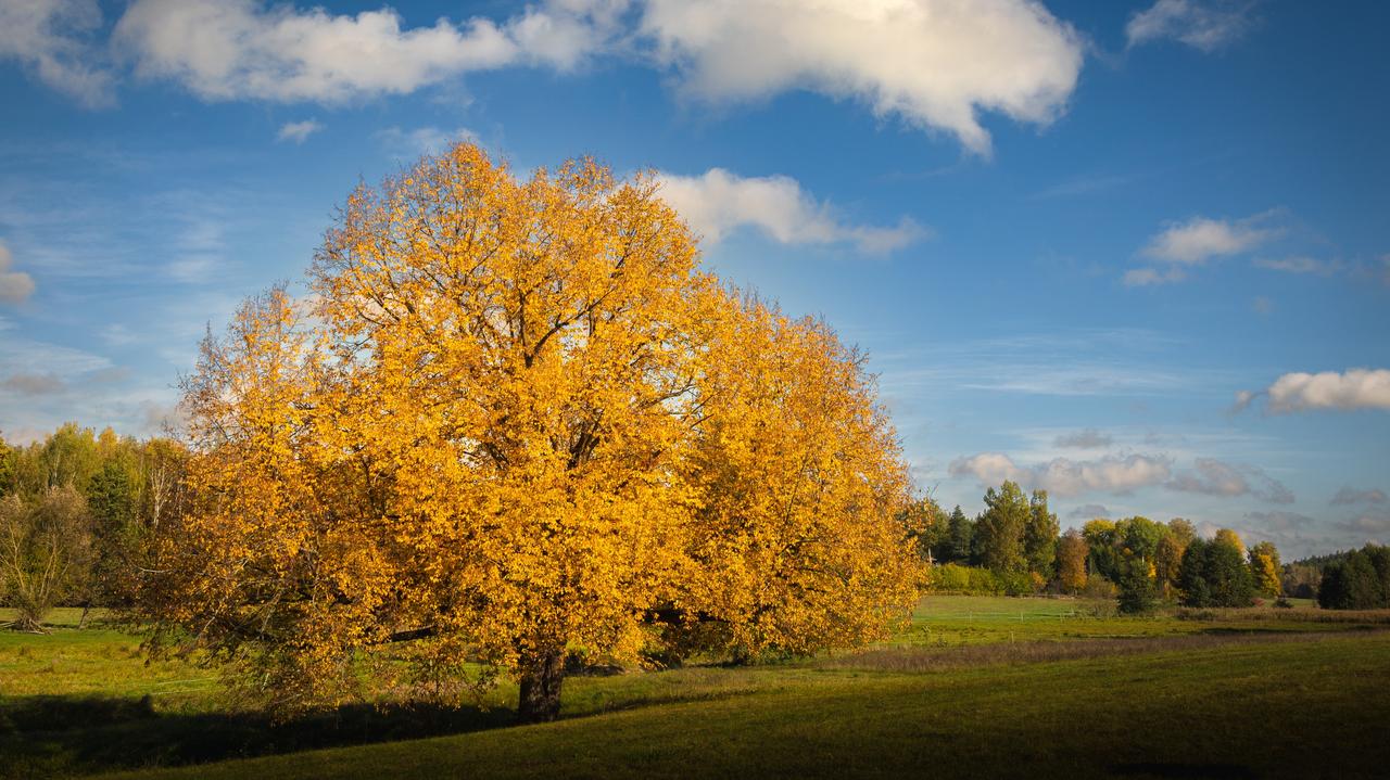 Pogoda na 5 dni. Tatiana zastąpi Henninga. Co to dla nas oznacza