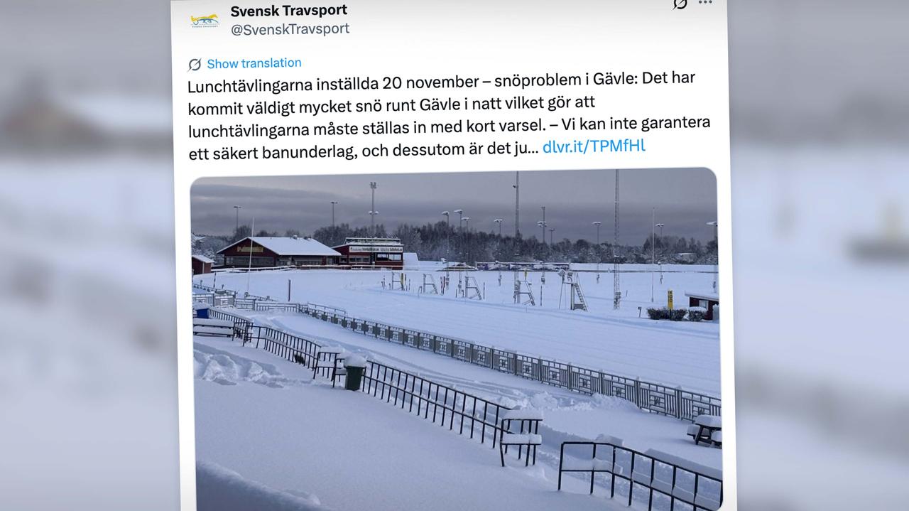 Atak zimy. Odśnieżarki wyjechały na autostradę, by uwolnić uwięzionych kierowców