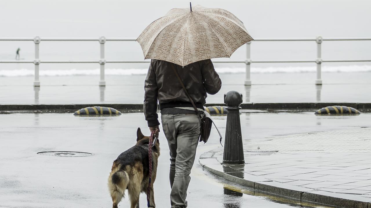 Pogoda na dziś - poniedziałek, 10.11. Chmury przykryją niebo niczym kołdra