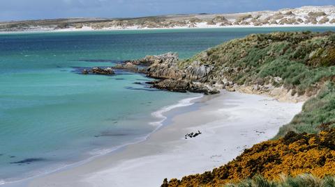 Falklandy