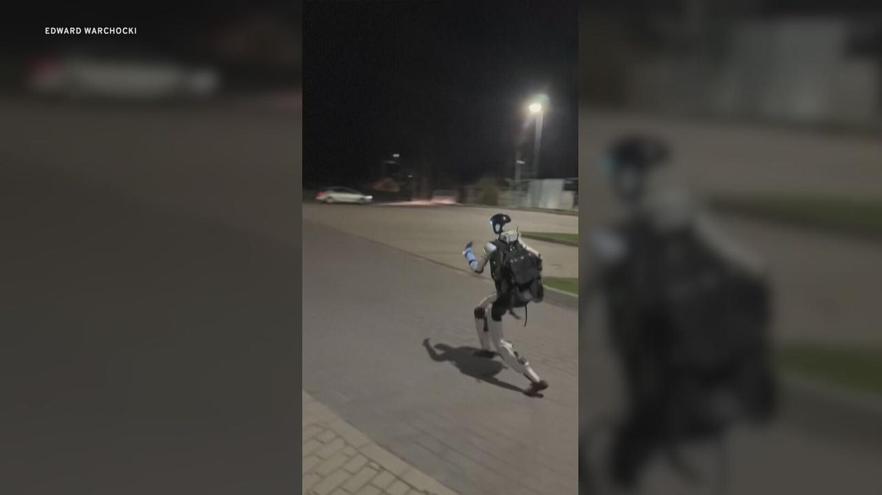 Robot ganiał dziki w Warszawie. Nagranie z Polski podbija świat
