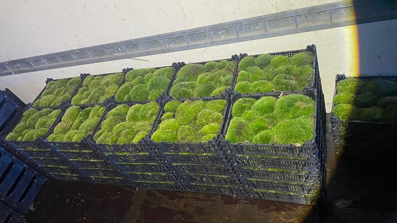 Zatrzymali busa do kontroli, takiego ładunku się nie spodziewali