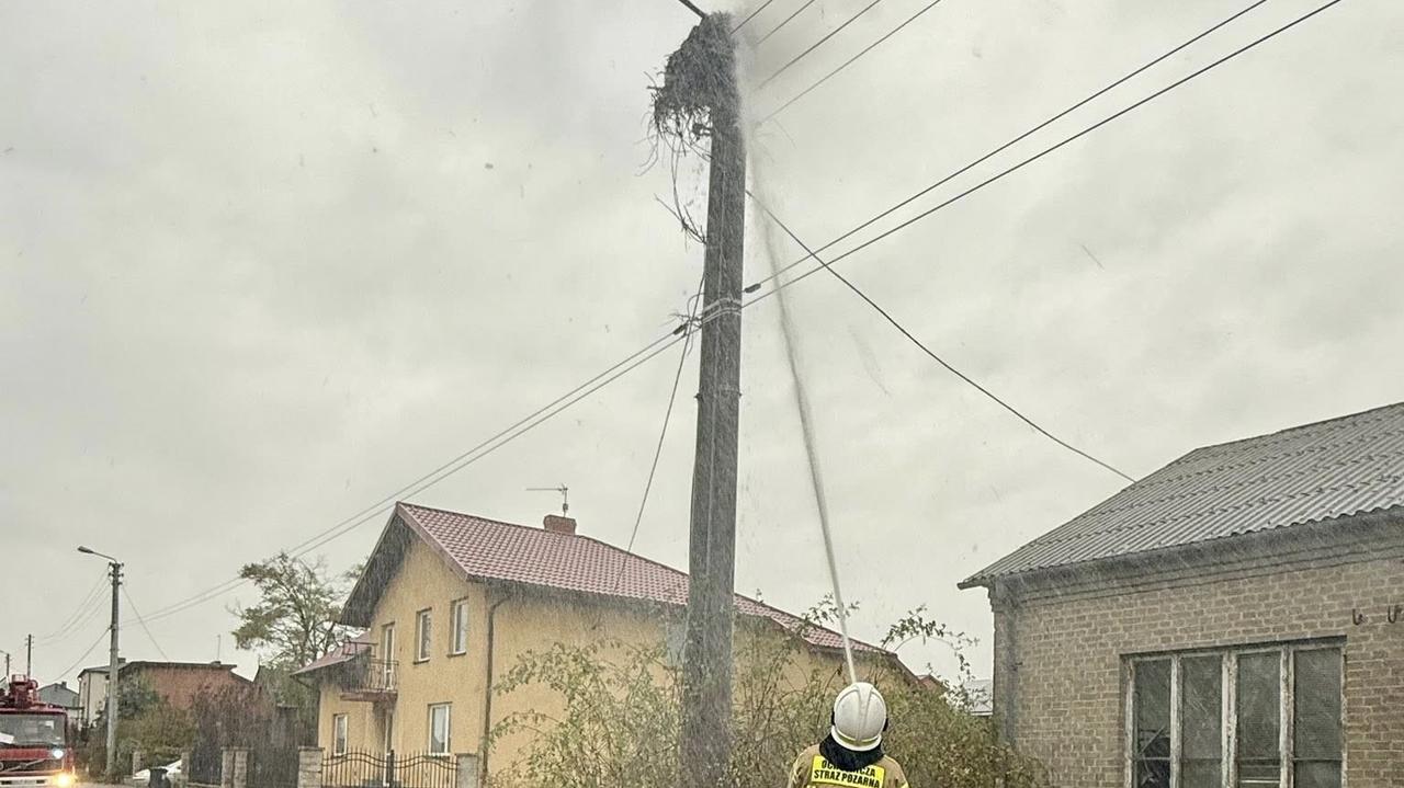 Strażacy gasili bocianie gniazdo