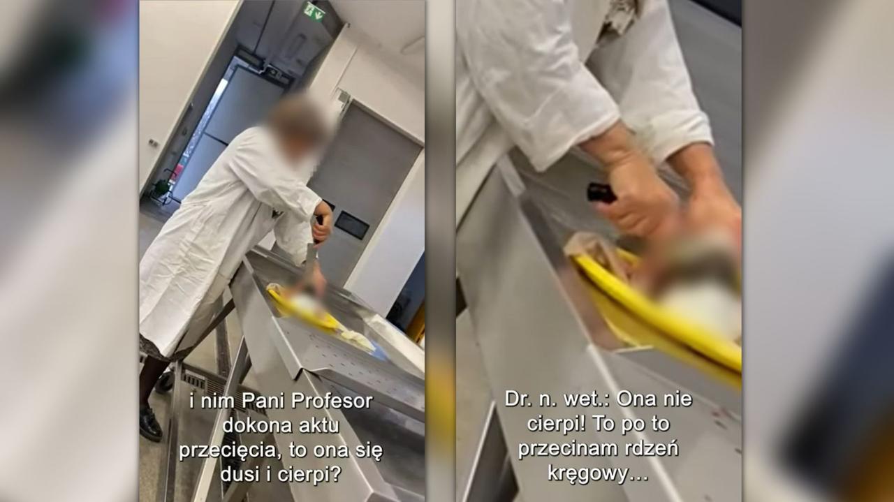 Uniwersytet ukarany za zabicie karpia