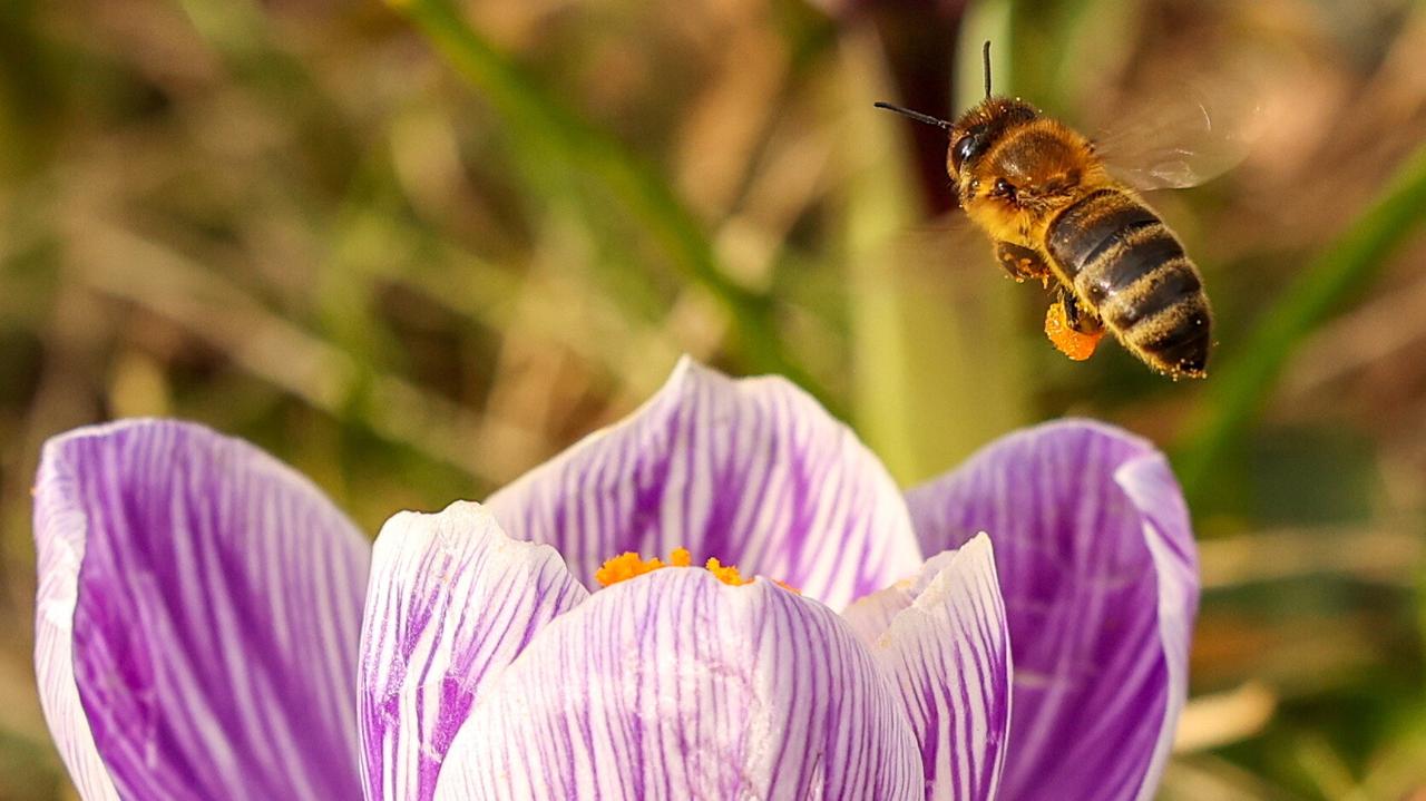 Prognoza długoterminowa IMGW. Pogoda na zimę i początek wiosny