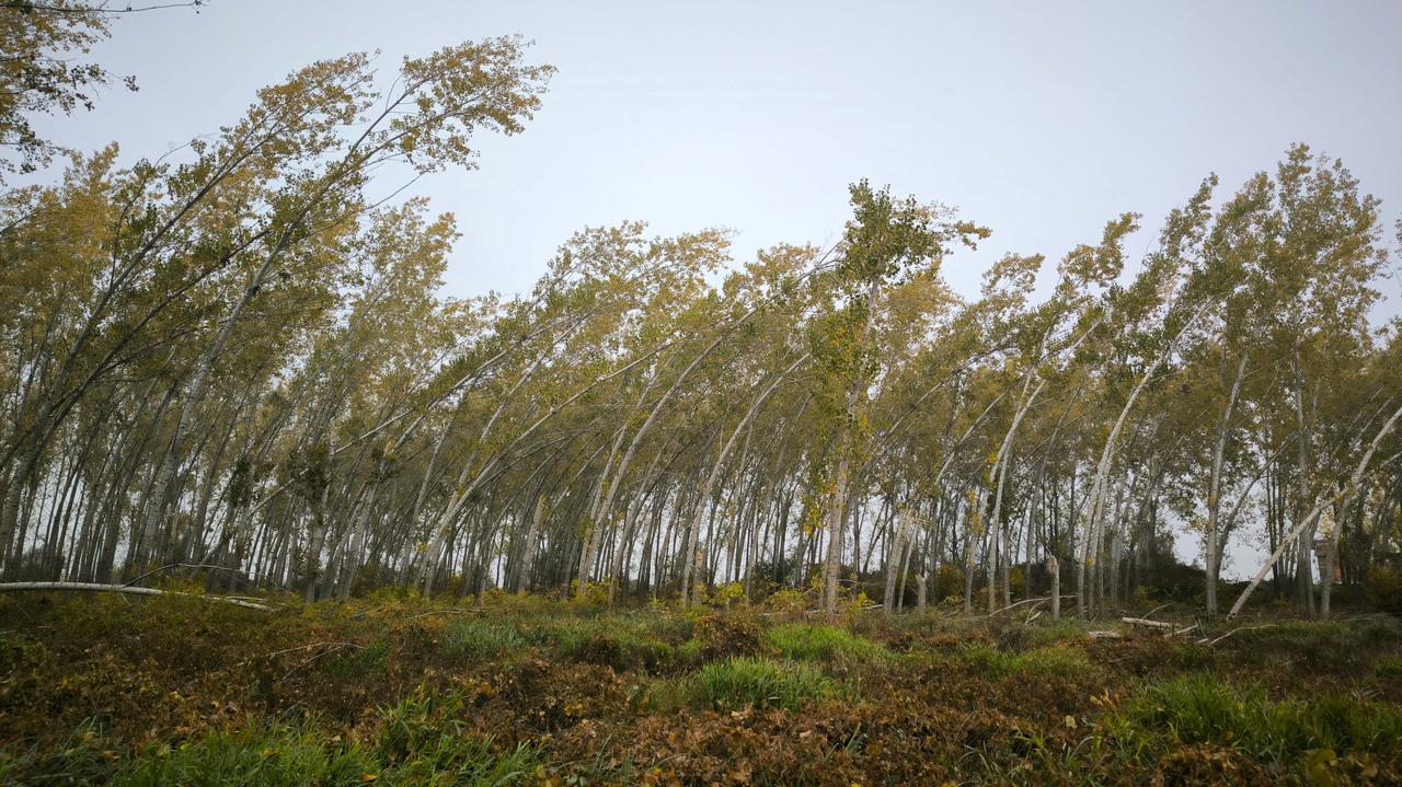 Pogoda na weekend. Silny wiatr w części kraju. Kogo może ostrzegać IMGW