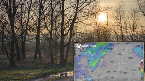 Prognozowana temperatura w kolejnych dniach