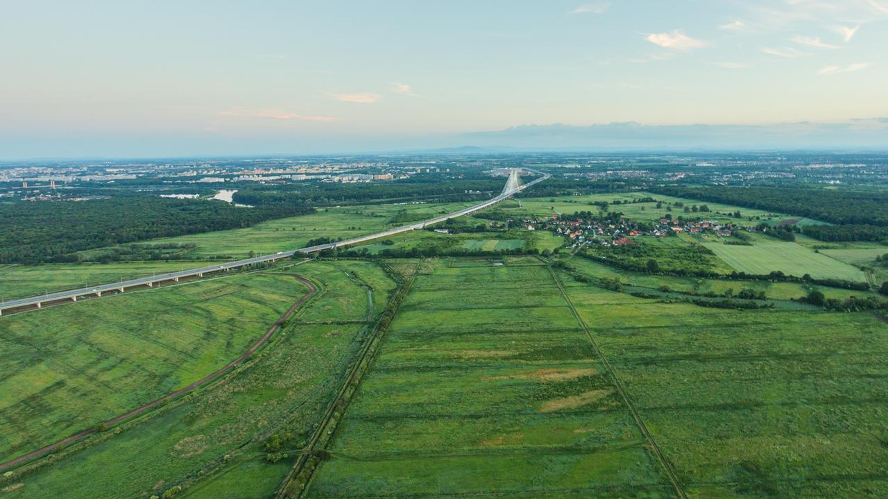 Ostoja przyrody w mieście, za trzy lata ma być rezerwatem