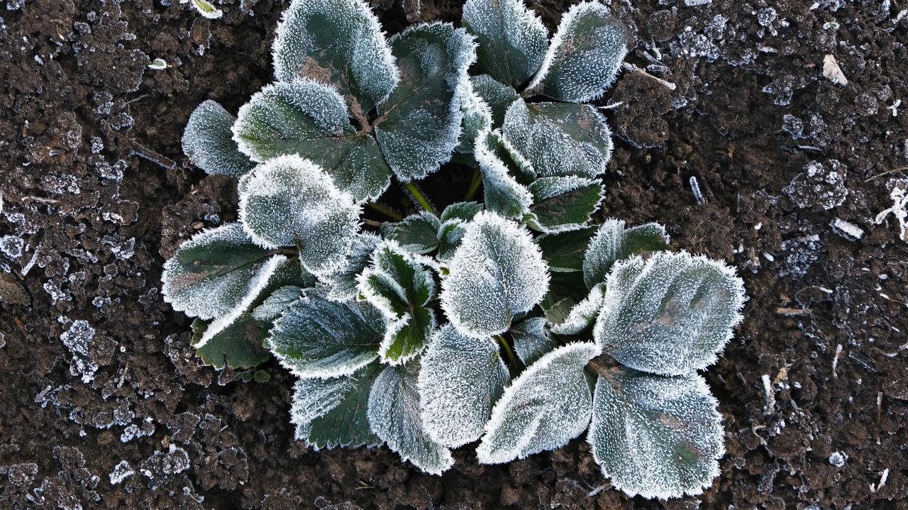 Pogoda na jutro - wtorek, 28.04. Zimna noc w części kraju