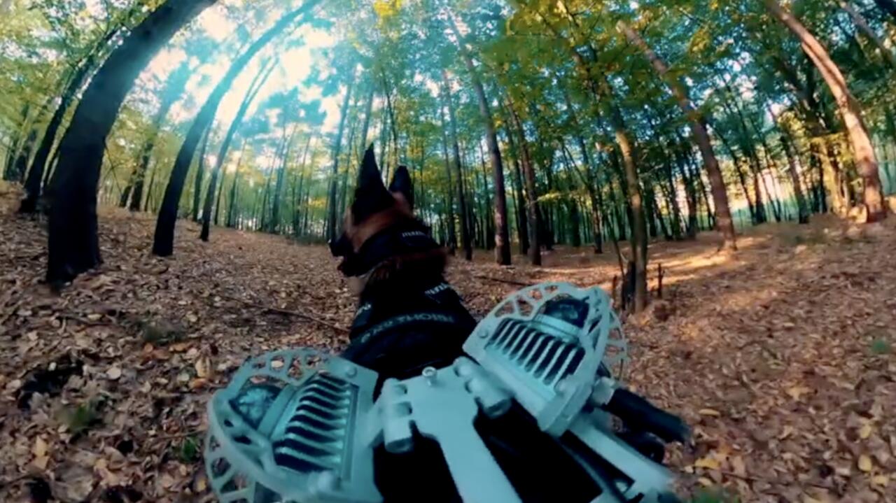 Policyjny pies tropiący szuka, mapa 3D rysuje się sama