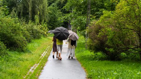 Prognozowana temperatura w kolejnych dniach