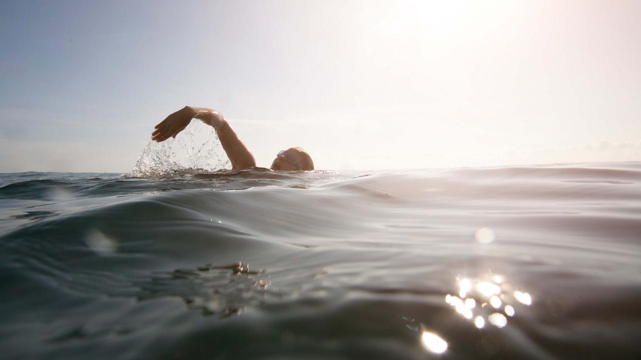 Zbadali wpływ Księżyca na ugryzienia przez rekiny