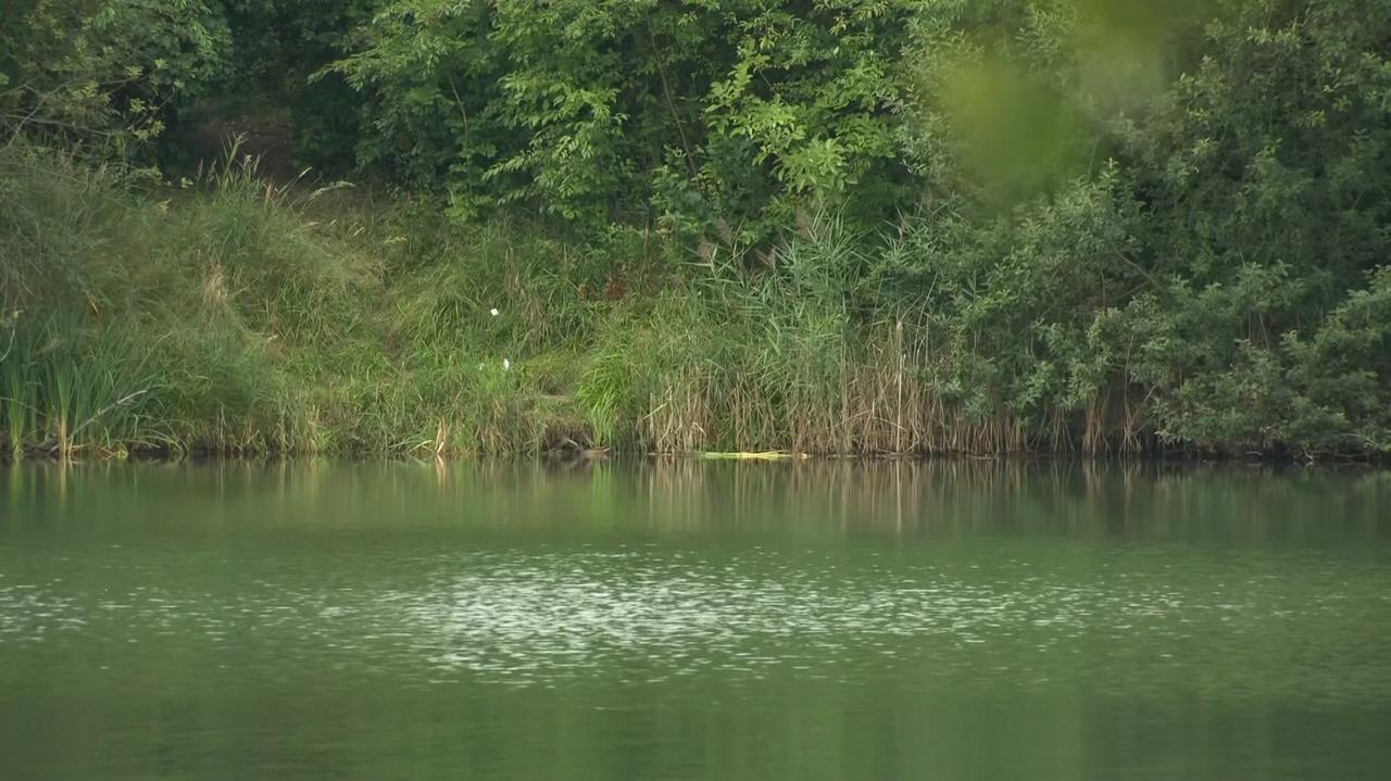 Szukali go, gdy usłyszeli plusk wody. Mężczyzna nie żyje
