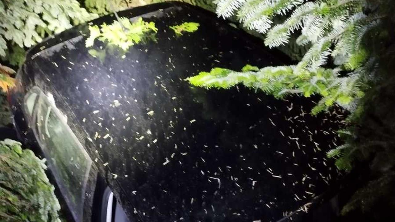 Usłyszeli głośny huk, zobaczyli auto "w pionowej pozycji". Obok 18-latka wzywała pomocy