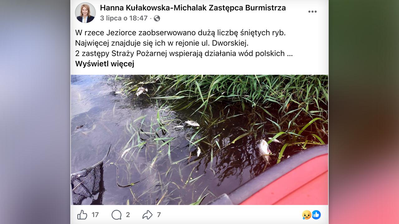 Śnięte ryby w rzece Jeziorce – władze Piaseczna apelują o unikanie kąpieli