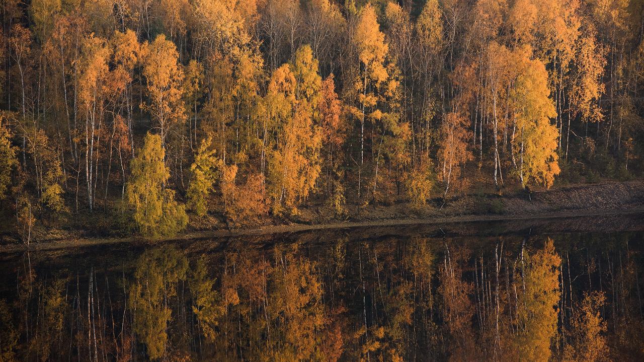 Pogoda na dziś - czwartek, 13.11. To będzie ciepły i pogodny dzień