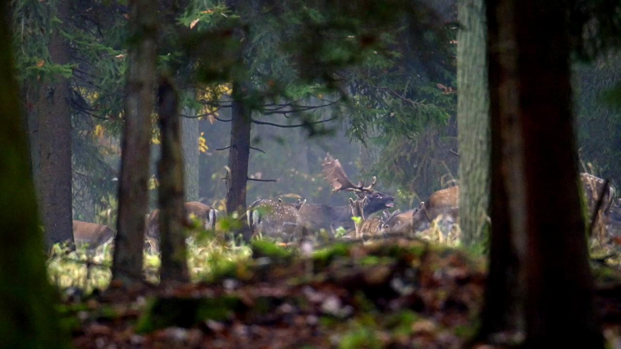 Niezwykłe zdjęcia operatora TVN24. "Szliśmy w absolutnej ciemności"