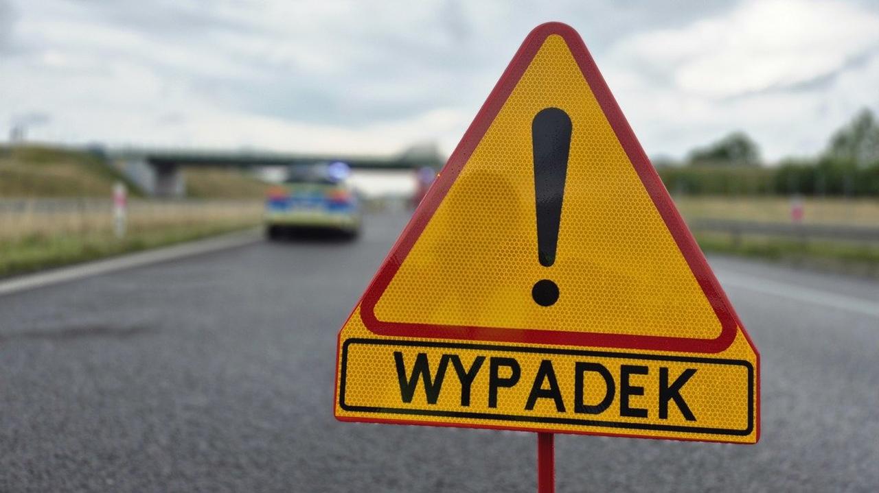 Passenger killed after car hits deer on national road near Zwoleń