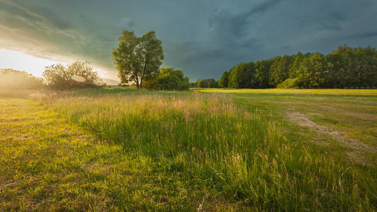 Długi weekend zacznie się burzowo. Co będzie dalej?