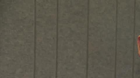 AYLON_03