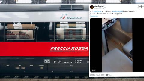 Włoski pociąg dużych prędkości Frecciarossa 