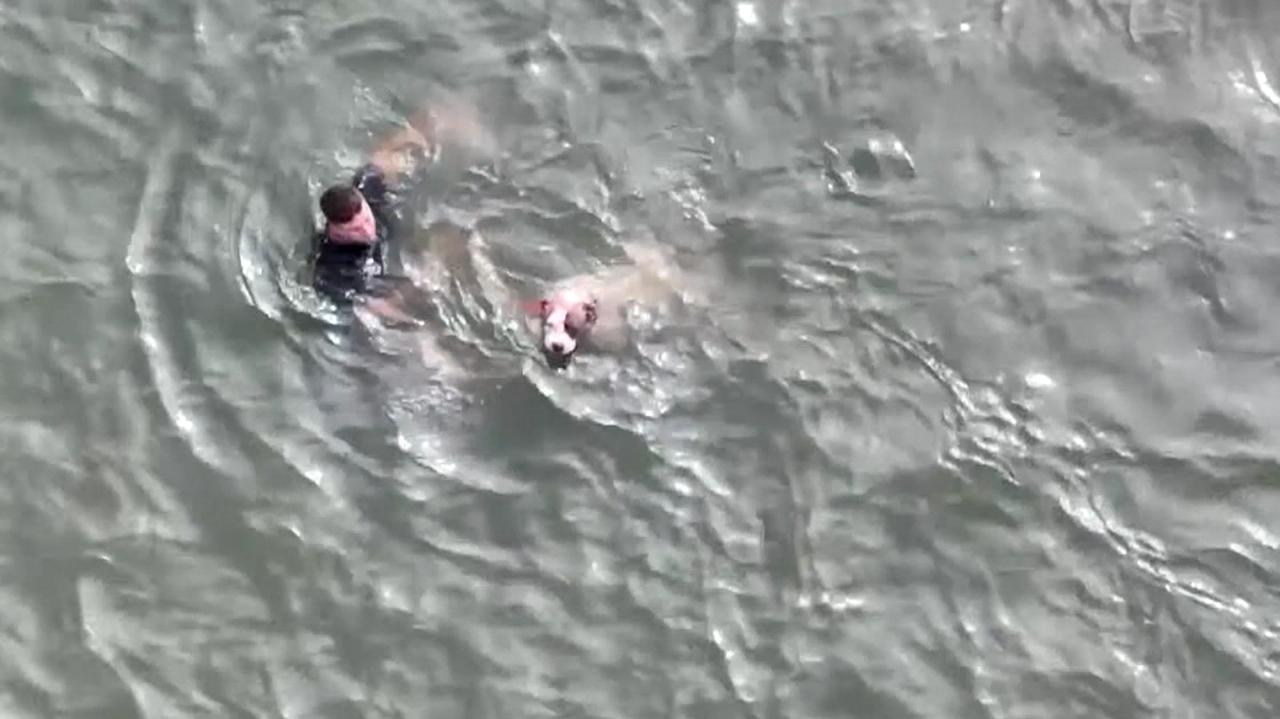 "Pomyślałem, iż muszę, jeżeli chcę, żeby pies przeżył". Ruszył na pomoc