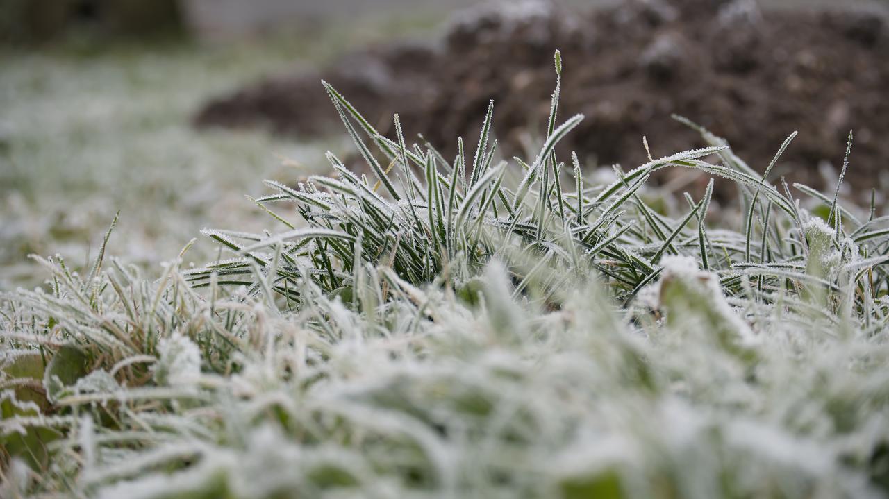 Ostrzeżenia IMGW dla połowy Polski. Przymrozki i śnieg w nocy