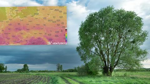 Prognozowana temperatura w kolejnych dniach