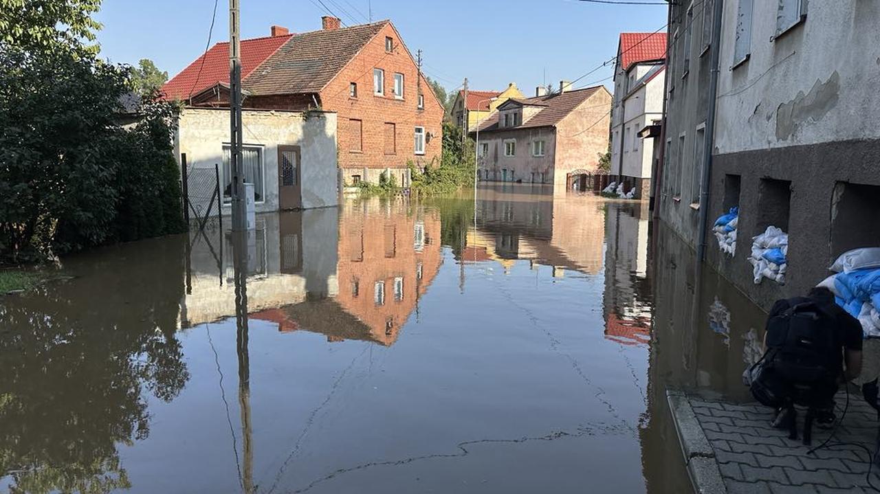 The wave on the Bóbr flows through Szprotawa. Half of the city is under water